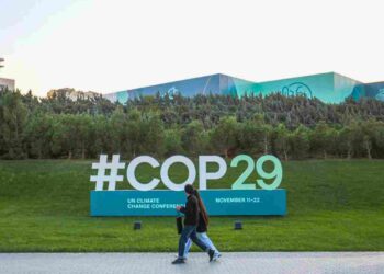 COP29 biomass energy