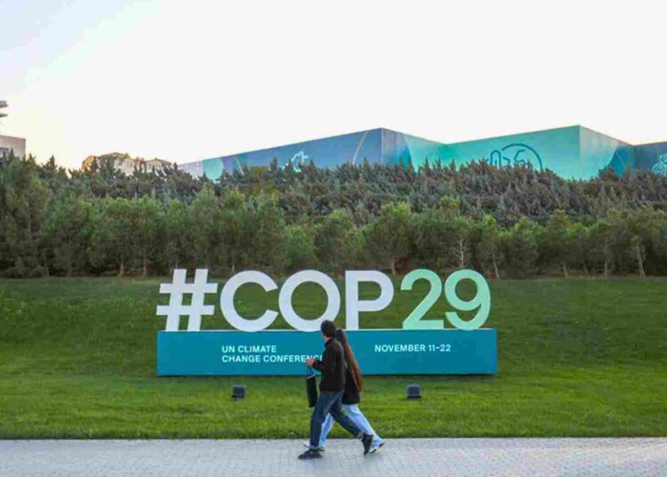 COP29 biomass energy