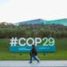 COP29 biomass energy