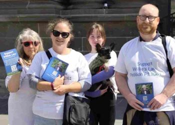 Willie's Law Hourglass Safer Ageing Week