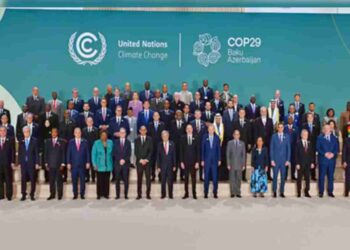 COP29 carbon markets
