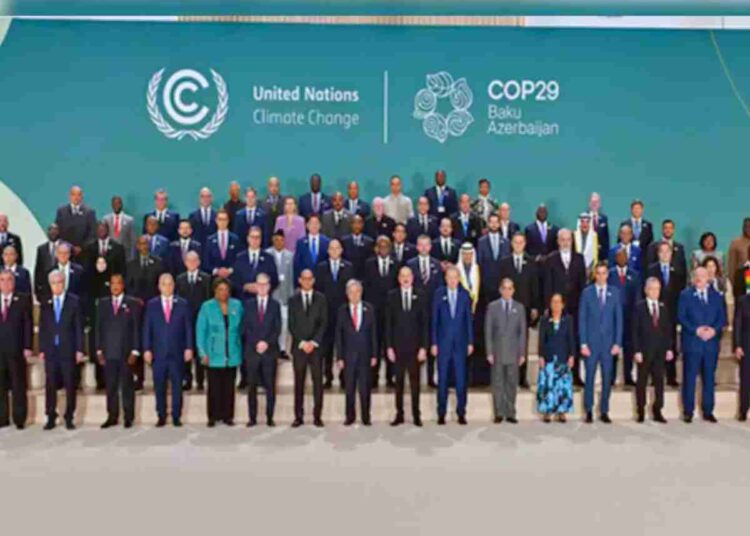 COP29 carbon markets