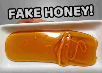 fake honey