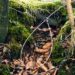 snares Scotland