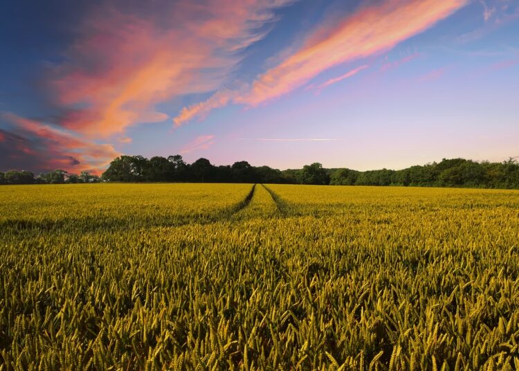 Image by Pete Linforth from Pixabay