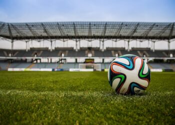 How Online Sports Betting Platforms Are Changing the Game