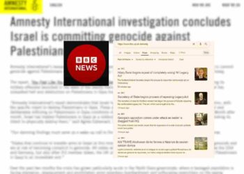 Amnesty report BBC News