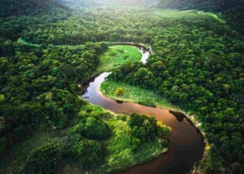 Brazil biodiversity