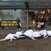 Swan Lake Sadler's Wells protest