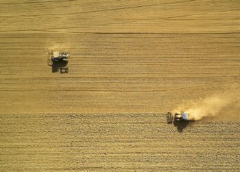 Europe’s farming crisis: who will grow our food?