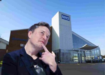 Elon Musk cuts to public services