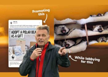 Chris Packham has joined calls over WWF position on polar bears
