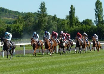 Assessing the favourites for the Brown Advisory Novices’ Chase