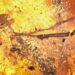 AI nuclear weapons