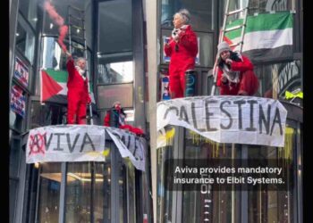 Aviva Palestine Action