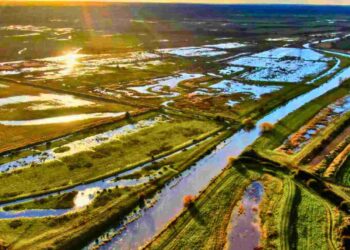Minster Marshes is under threat