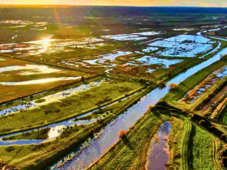 Minster Marshes is under threat