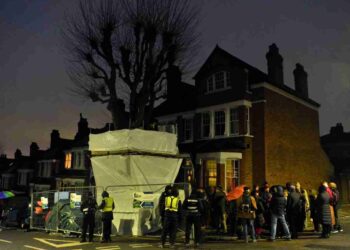 Haringey tree protectors