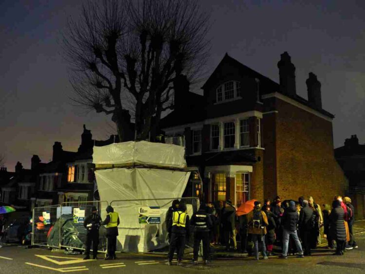 Haringey tree protectors