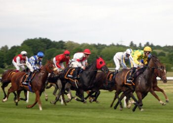 Top Tips for Betting on the Cheltenham Festival 