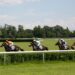 So close, yet so far: The greatest horses never to win the Grand National