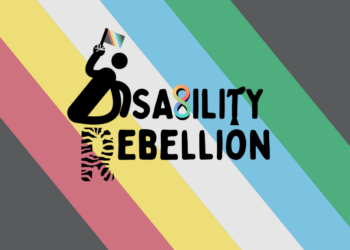 Disability Rebellion logo with the Disabled Pride flag behind. The D is stylised as a wheelchair user, holding a disabled Pride flag, the B the autism infinity symbol, and the R has EDS zebra stripes to signify chronic illness.
