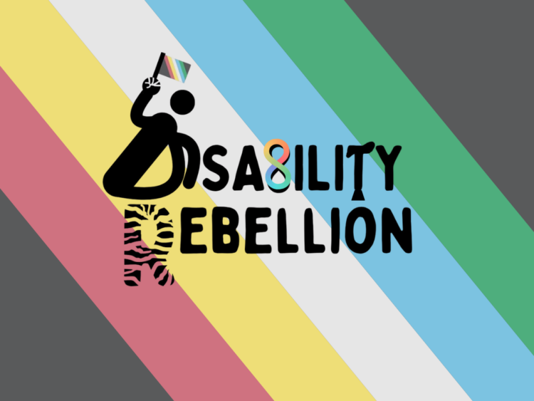 Disability Rebellion logo with the Disabled Pride flag behind. The D is stylised as a wheelchair user, holding a disabled Pride flag, the B the autism infinity symbol, and the R has EDS zebra stripes to signify chronic illness.