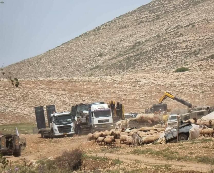 Settlers demolishing farmland surrounded by sheep.