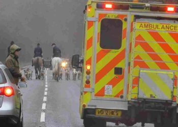 Protect the Wild is starting to track hunt havoc