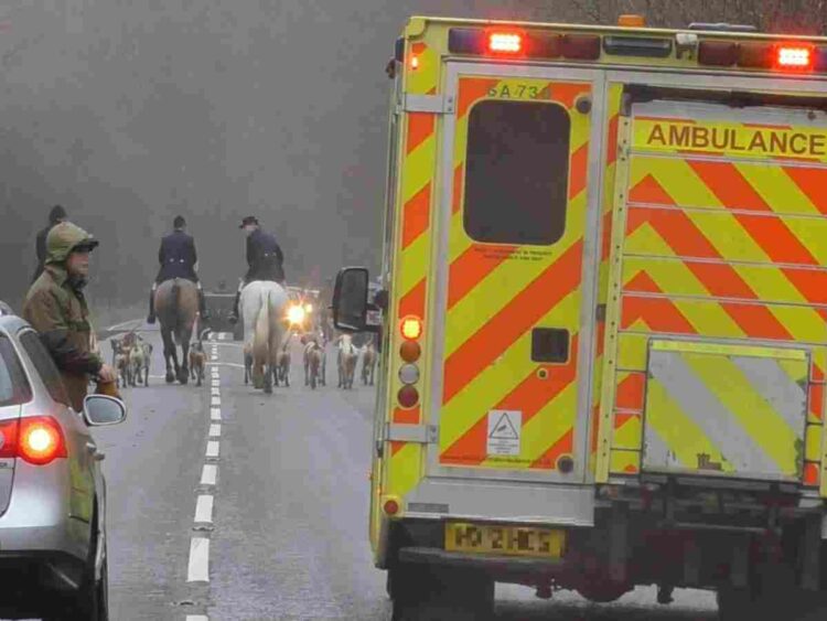 Protect the Wild is starting to track hunt havoc