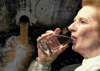 Our water bills are significantly higher because of water privatisation