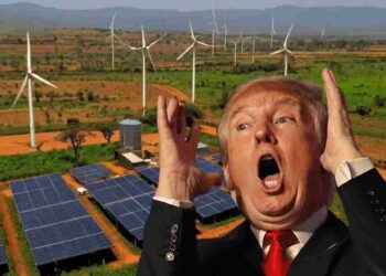 Donald Trump has been telling African leaders they should start burning coal - but the evidence shows they probably will tell him to do one