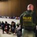 US border force