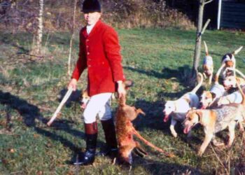 Fox hunting is still rampant, the League Against Cruel sports has revealed