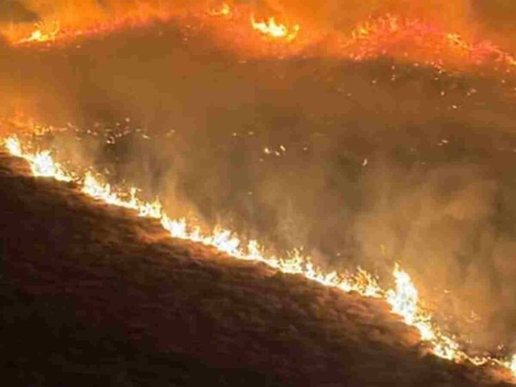 Cwm Rheidol wildfire
