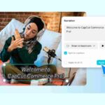 Twitter video tool