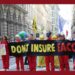 insurance companies
