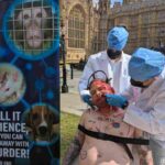 PETA performs stunt outside parliament over animal experiments