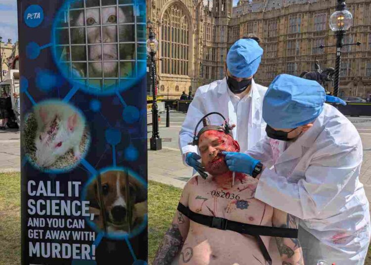 PETA performs stunt outside parliament over animal experiments