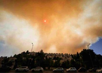 Palestine and the climate crisis are intrinsically linked