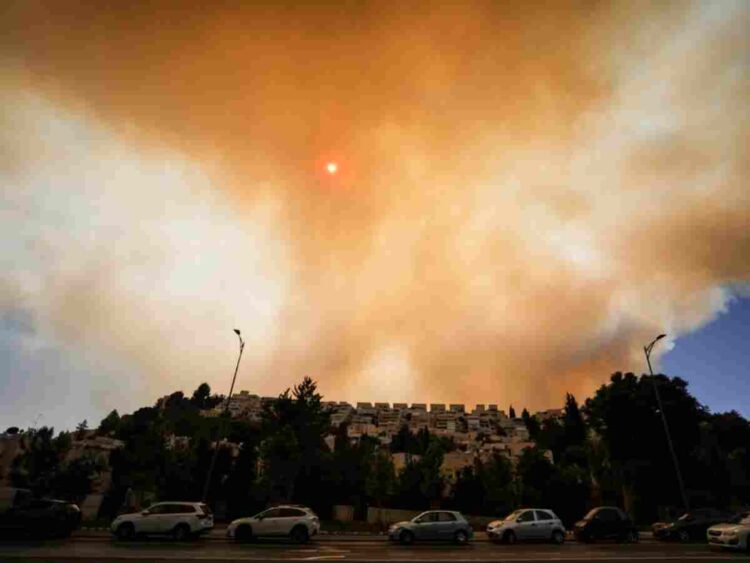 Palestine and the climate crisis are intrinsically linked
