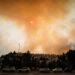 Palestine and the climate crisis are intrinsically linked