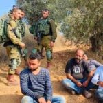 Palestinian farmers are on the front line of Israel's apartheid