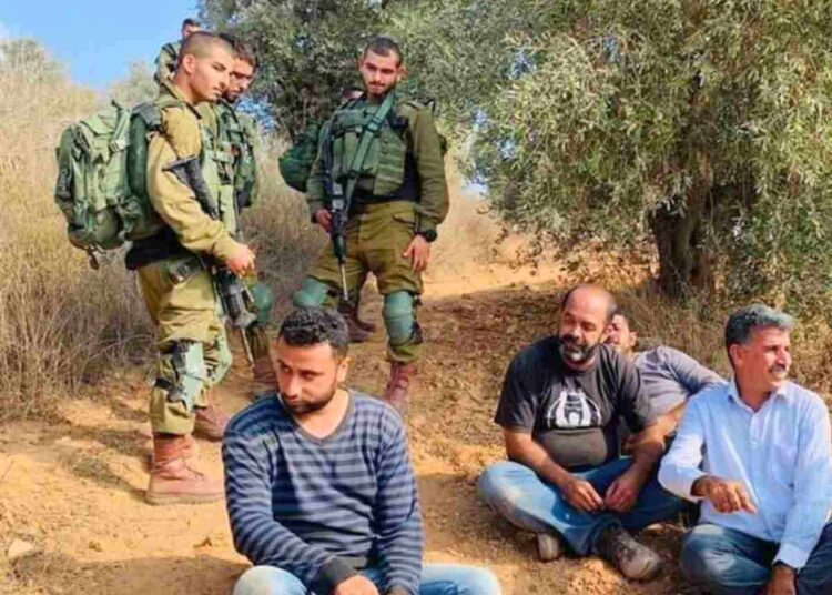 Palestinian farmers are on the front line of Israel's apartheid