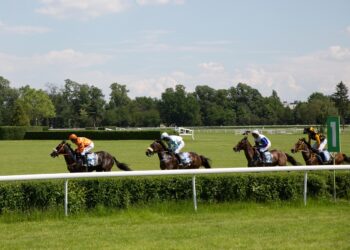 Horse Welfare at the Grand National: Are the Recent Changes Enough?