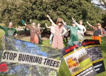 Nine women strike a pose while dancing on the grass, with trees behind, in Princes Street Gardens, Edinburgh. Stop burning trees banner and Drax crime posters superimposed over the top Drax AGM