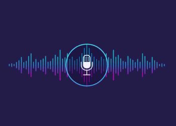 voice assistant
