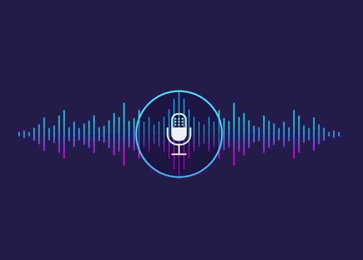 voice assistant