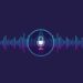 voice assistant
