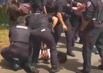 ICE agents attempt to abduct mother and child, neighbours response goes viral